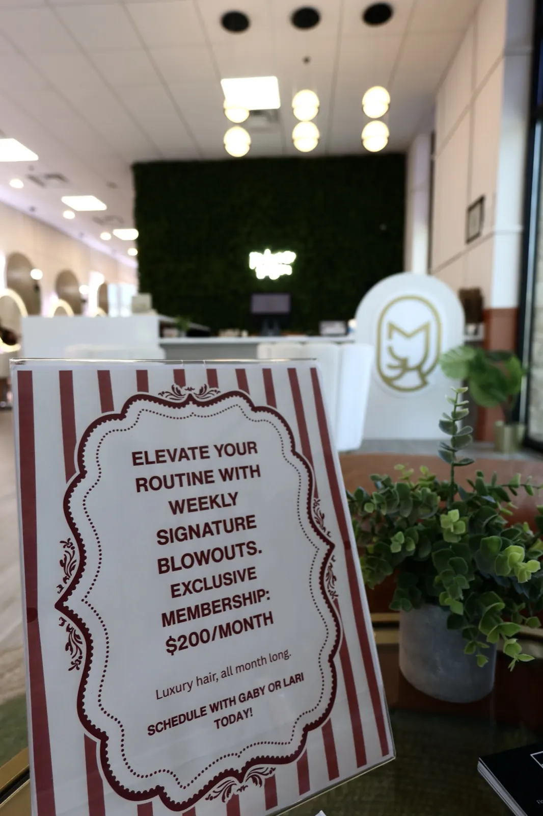 Promotion flyer: weekly blowouts, exclusive membership for $200 per month