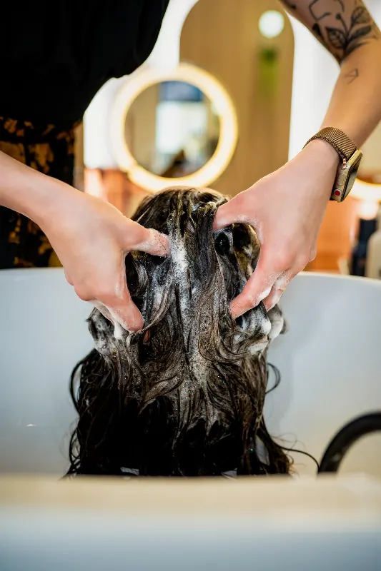 Client enjoying a hair wash and scalp massage